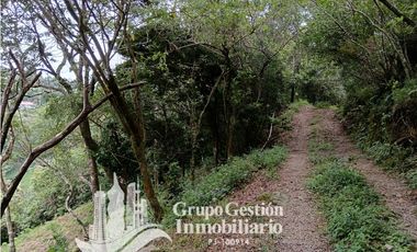 Venta Finca Titulada en Palmira, Boquete #7