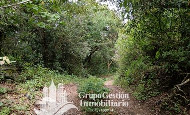 Venta Finca Titulada en Palmira, Boquete #7