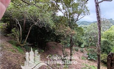 Venta Finca Titulada en Palmira, Boquete #7