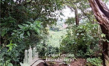 Venta Finca Titulada en Palmira, Boquete #7