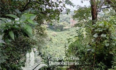 Venta Finca Titulada en Palmira, Boquete #7