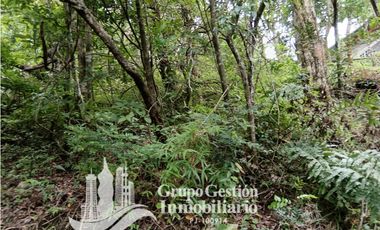 Venta Finca Titulada en Palmira, Boquete #7
