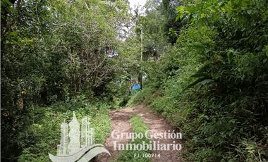 Venta Finca Titulada en Palmira, Boquete #7