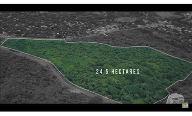 Se Vende Terreno de 27 Hectáreas en San Carlos