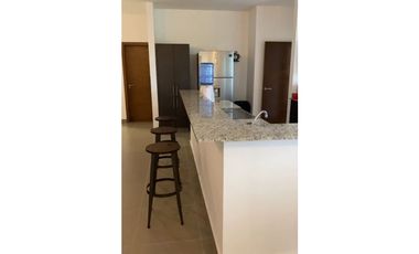 SE VENDE CASA EN P.H.CORONADO ESCAPES