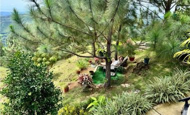 CABAÑA SUITE SENIOR EN LA MONTAÑA  ALTOS DEL MARIA  $150 x noche