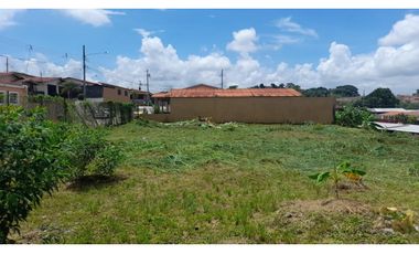 VENTA DE TERRENO EN VILLA VERONICA