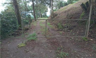 Finca Cafetalera en Santa Clara