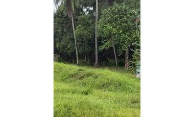 Via España terreno 1300m2 a solo $439k
