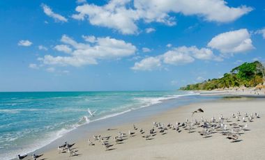 ¡Alquila tu apartamento de ensueño en Bijao Beach Club & Residences!