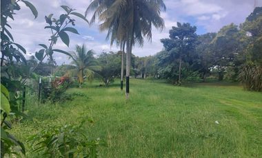 TERRENO PARA DESARROLLO INMOBILIARIO EN LA CHORRERA, PANAMA