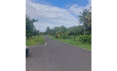 TERRENO PARA DESARROLLO INMOBILIARIO EN LA CHORRERA, PANAMA