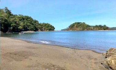 VENTA FINCA EN ISLA DE SANTIAGO VERAGUAS