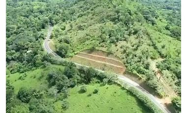 VENTA FINCA EN ISLA DE SANTIAGO VERAGUAS