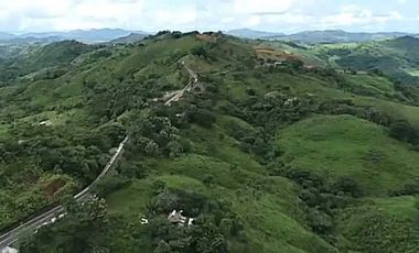 VENTA FINCA EN ISLA DE SANTIAGO VERAGUAS