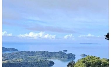 VENTA FINCA EN ISLA DE SANTIAGO VERAGUAS