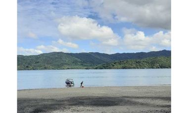 VENTA FINCA EN ISLA DE SANTIAGO VERAGUAS