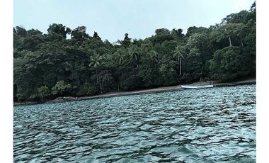 VENTA FINCA EN ISLA DE SANTIAGO VERAGUAS