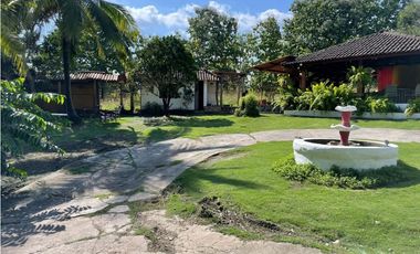 🌴 ¡Tu Paraíso en Gorgona te Espera! ☀