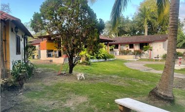 🌴 ¡Tu Paraíso en Gorgona te Espera! ☀