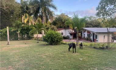 🌴 ¡Tu Paraíso en Gorgona te Espera! ☀