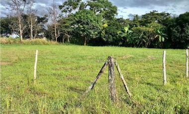 Se Vende Terreno en Penonomé Llano Marín