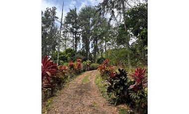 🌿 Venta de Casa Campestre en Los Nevados, Cerro Azul 🌿REMATE