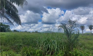 Se vende terreno para desarrollo en Soná, Veraguas Panamá