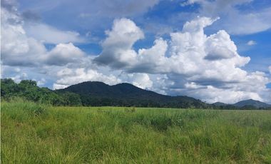 Se vende terreno para desarrollo en Soná, Veraguas Panamá