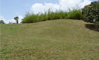 🌿 EN VENTA –  Hacienda Santa Domenica 🌿