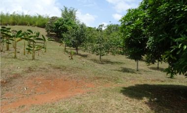 🌿 EN VENTA –  Hacienda Santa Domenica 🌿