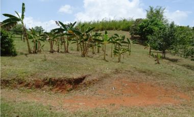 🌿 EN VENTA –  Hacienda Santa Domenica 🌿