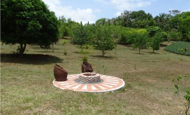 🌿 EN VENTA –  Hacienda Santa Domenica 🌿