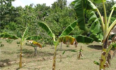 🌿 EN VENTA –  Hacienda Santa Domenica 🌿