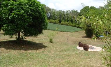 🌿 EN VENTA –  Hacienda Santa Domenica 🌿