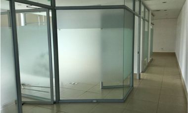Oficina en PH Top Tower
