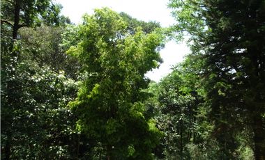 ¡Tu refugio de montaña en Cerro Azul te espera! 🌿