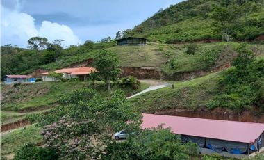 Se vende finca con 2 casas, 3 galeras, frutas y limones