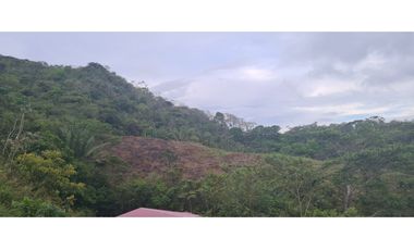 Se vende finca con 2 casas, 3 galeras, frutas y limones