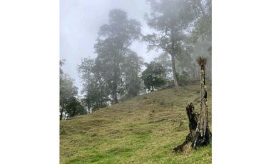 VENDO.FINCA EN.DP CON ALTITUD DE 2400M.S.N.M.