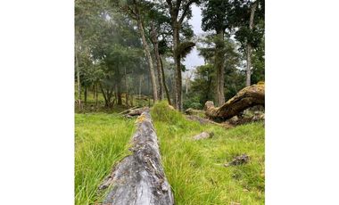 VENDO.FINCA EN.DP CON ALTITUD DE 2400M.S.N.M.