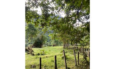 VENDO.FINCA EN.DP CON ALTITUD DE 2400M.S.N.M.
