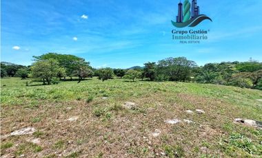 VENDO 70HECTAREAS VIA CHIRIQUI CORREGIMIENTO
