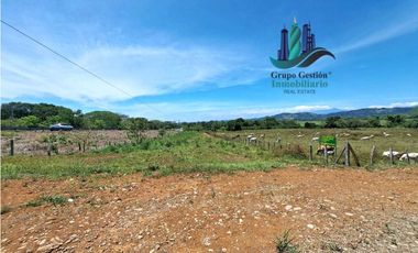 VENDO 70HECTAREAS VIA CHIRIQUI CORREGIMIENTO