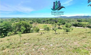 VENDO 70HECTAREAS VIA CHIRIQUI CORREGIMIENTO
