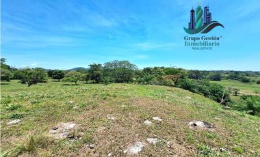 VENDO 70HECTAREAS VIA CHIRIQUI CORREGIMIENTO