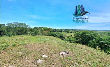 VENDO 70HECTAREAS VIA CHIRIQUI CORREGIMIENTO