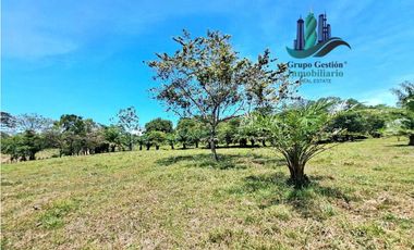 VENDO 70HECTAREAS VIA CHIRIQUI CORREGIMIENTO