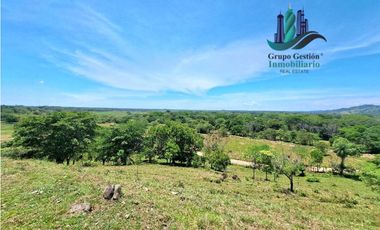 VENDO 70HECTAREAS VIA CHIRIQUI CORREGIMIENTO