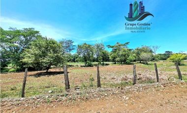 VENDO 70HECTAREAS VIA CHIRIQUI CORREGIMIENTO